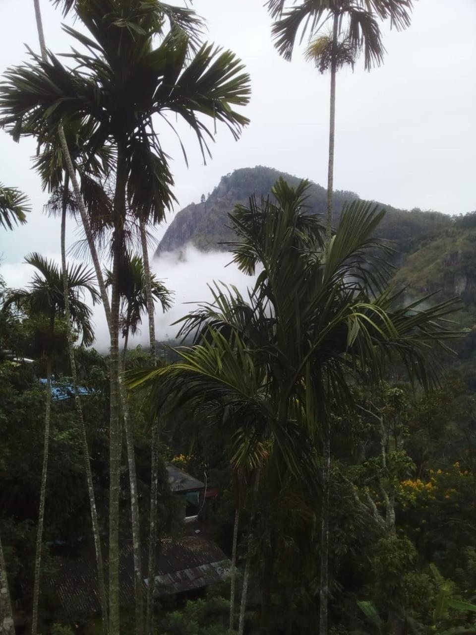 Misty Heaven Bed & Breakfast Ella Exterior foto